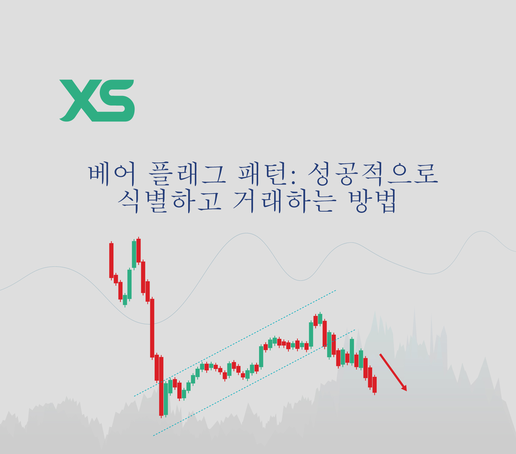 베어 플래그 패턴-xs